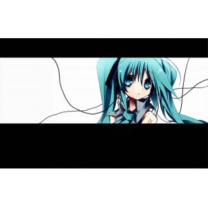 初音未来 J (57)