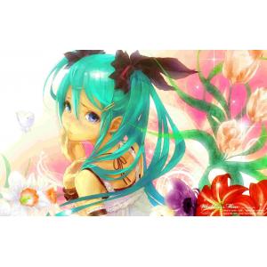 初音未来 J (33)