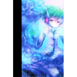 初音未来 I (45)