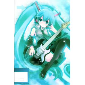 初音未来 I (30)