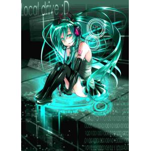 初音未来 I (12)