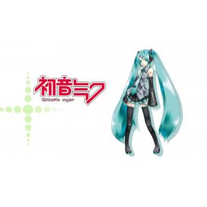 初音未来 H (89)