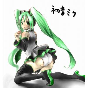 初音未来 H (72)