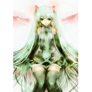 初音未来 H (56)