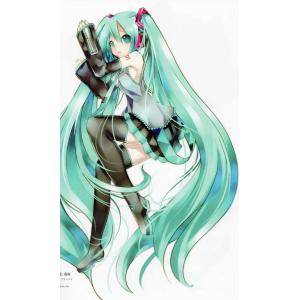 初音未来 H (53)