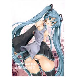 初音未来 H (48)