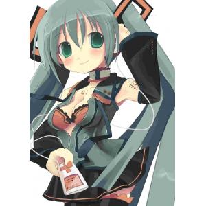 初音未来 H (43)