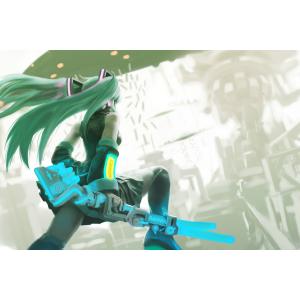 初音未来 H (3)