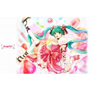 初音未来 H (28)