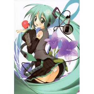 初音未来 H (32)