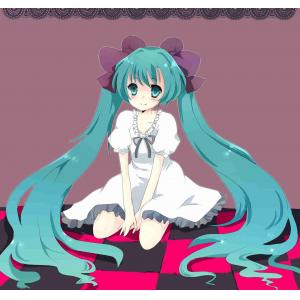 初音未来 H (23)