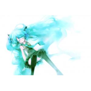 初音未来 H (14)