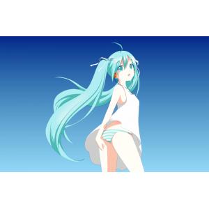 初音未来 G (38)