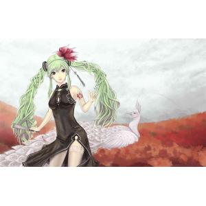 初音未来 F (59)