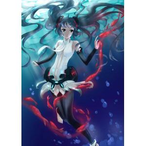 初音未来 F (43)