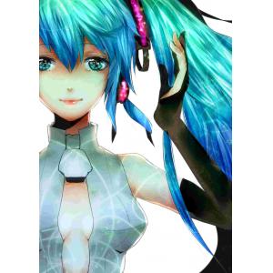 初音未来 F (34)