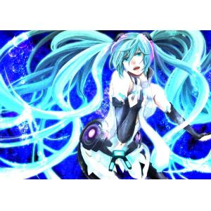 初音未来 F (27)