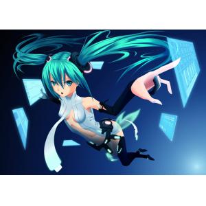 初音未来 F (14)