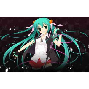 初音未来 E (9)