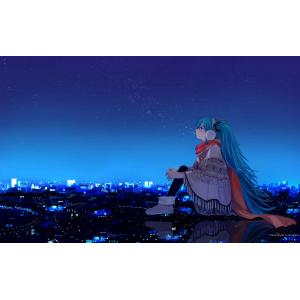 初音未来 E (44)