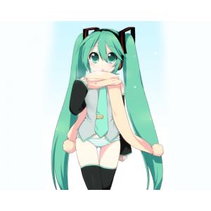 初音未来 E (45)