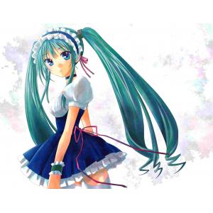 初音未来 E (41)