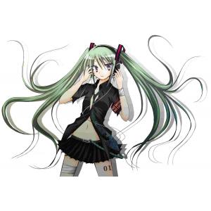 初音未来 E (30)