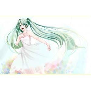 初音未来 E (27)