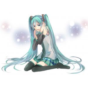 初音未来 E (13)