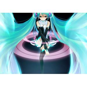 初音未来 D (93)