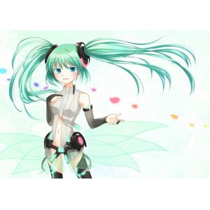 初音未来 D (76)