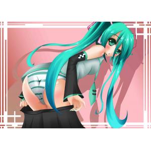 初音未来 D (48)