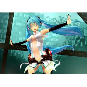 初音未来 D (37)