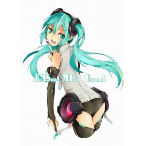 初音未来 D (33)