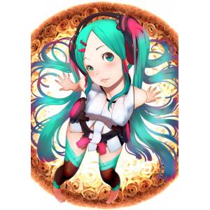 初音未来 D (31)