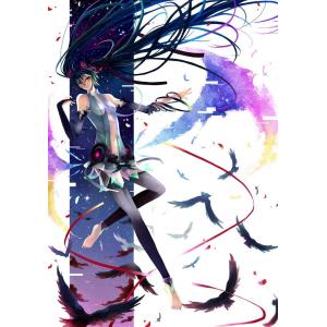 初音未来 D (16)