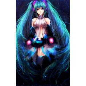 初音未来 D (23)