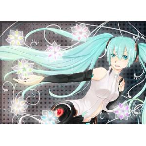 初音未来 D (3)