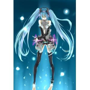 初音未来 D (18)