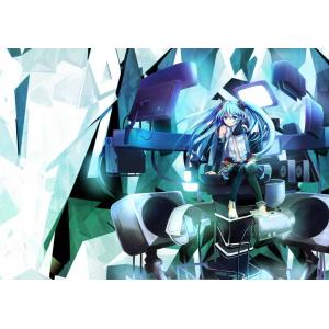 初音未来 D (24)