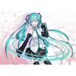 初音未来 C (91)