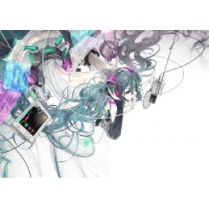 初音未来 C (79)