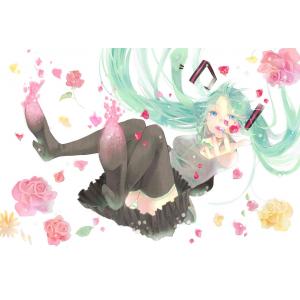 初音未来 C (21)