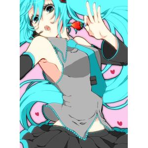 初音未来 C (24)