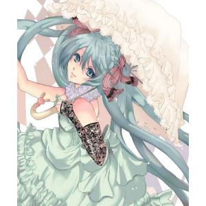 初音未来 C (15)