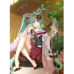 初音未来 B (9)