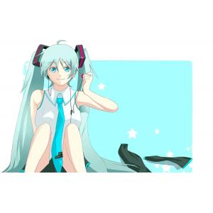 初音未来 B (59)