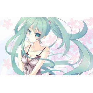 初音未来 B (64)