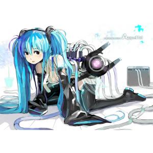 初音未来 B (52)