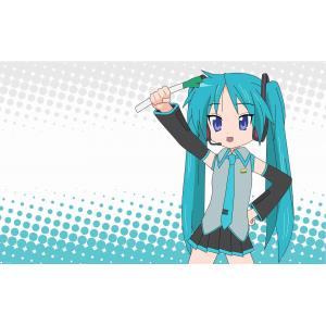 初音未来 B (48)